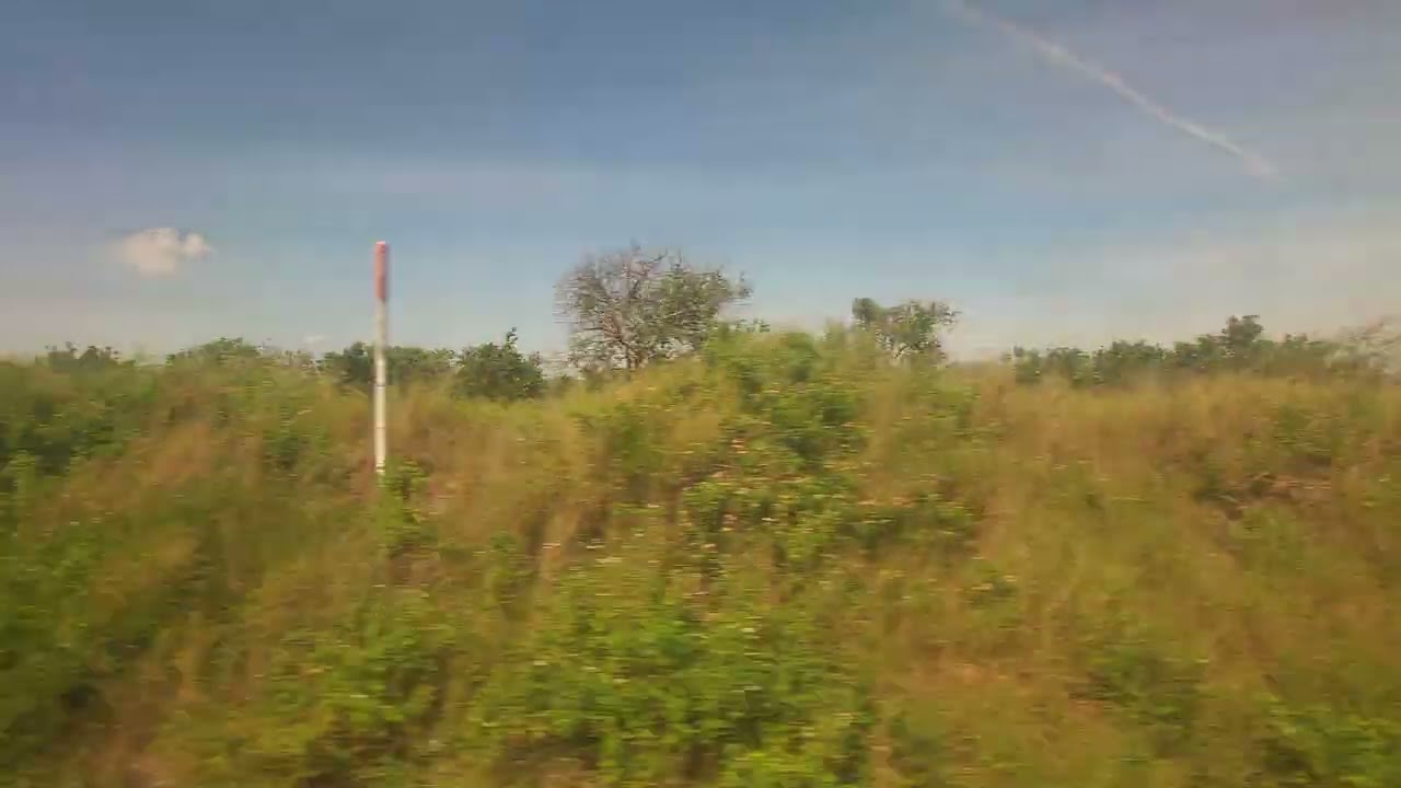 Amtrak Silver Meteor Northbound From MIA to ORL