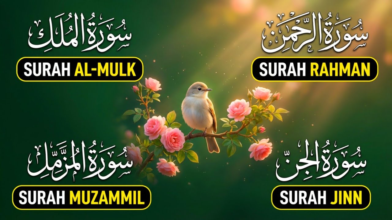 Surah Rahman With Surah mulk , Suratul Jinn | heart touching tilawat e quran ( سورہ الرحمن |Epi 907