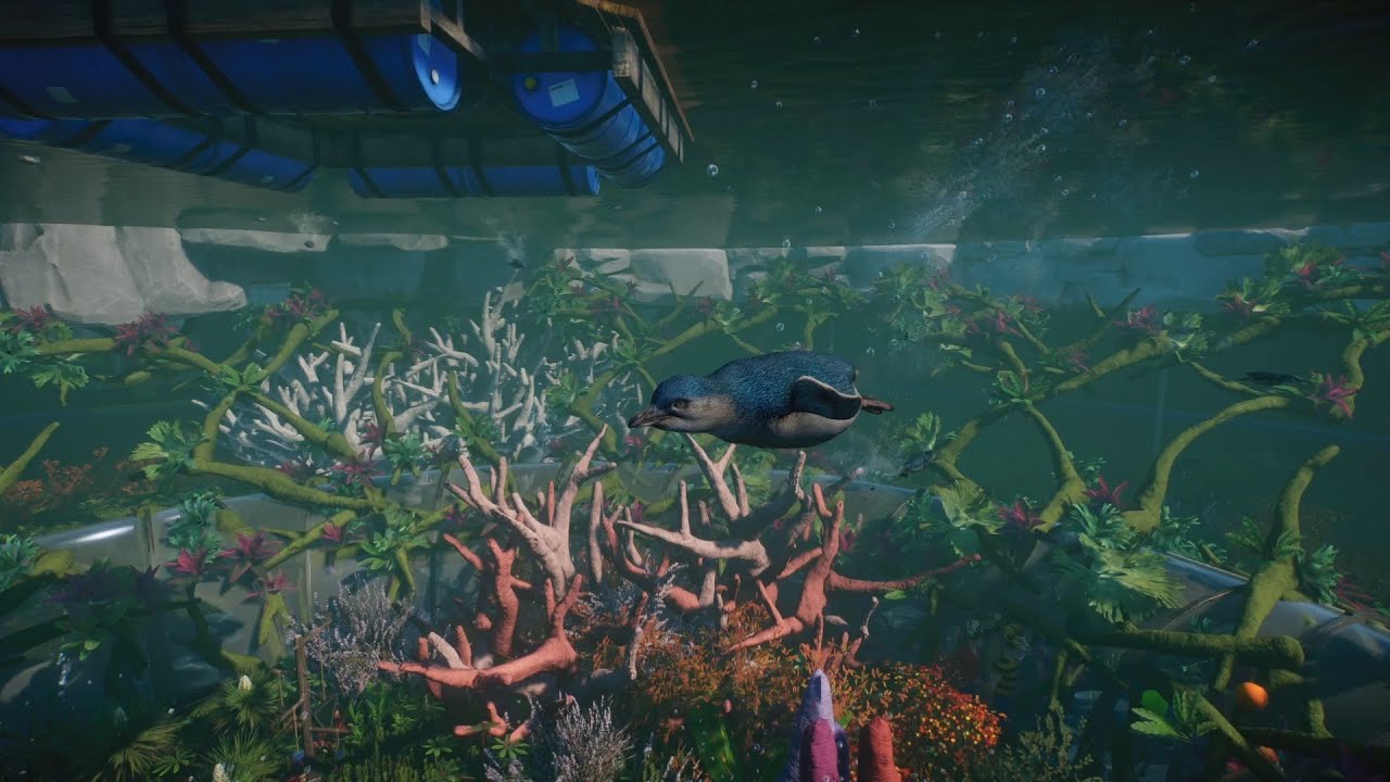Planet Zoo (PC)(English) #156  7 Minutes of Little Penguin (Oceania DLC)