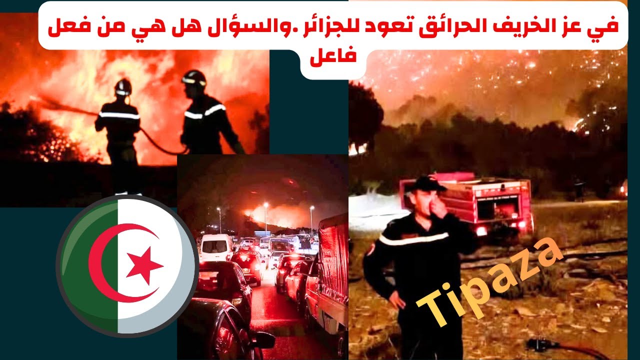 رجال الإطفاء يواجهون النار لإنقاذ الجميع! في تيبازا -الجزائر