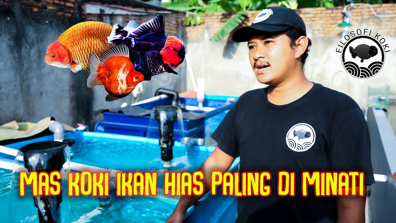 MAS KOKI SEHARGA 16 JUTA???