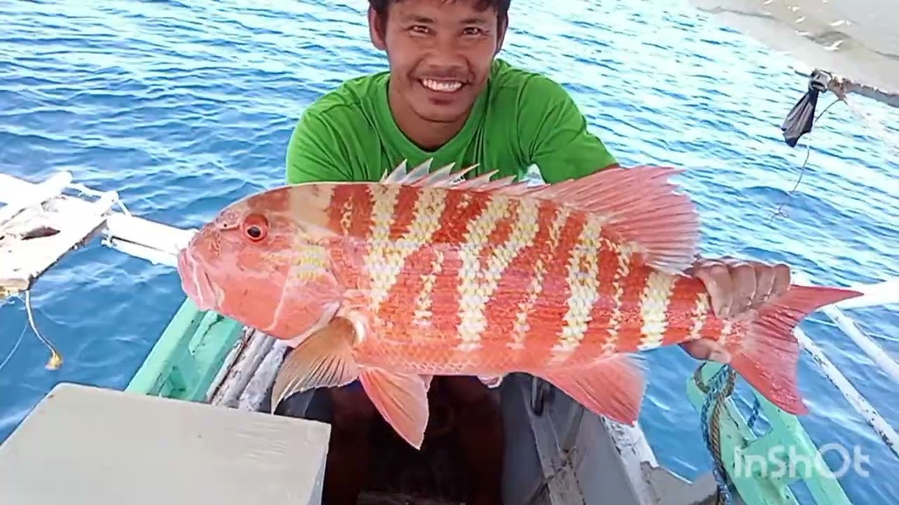 Paldo nman tayo mga idol..#fishing #paldo