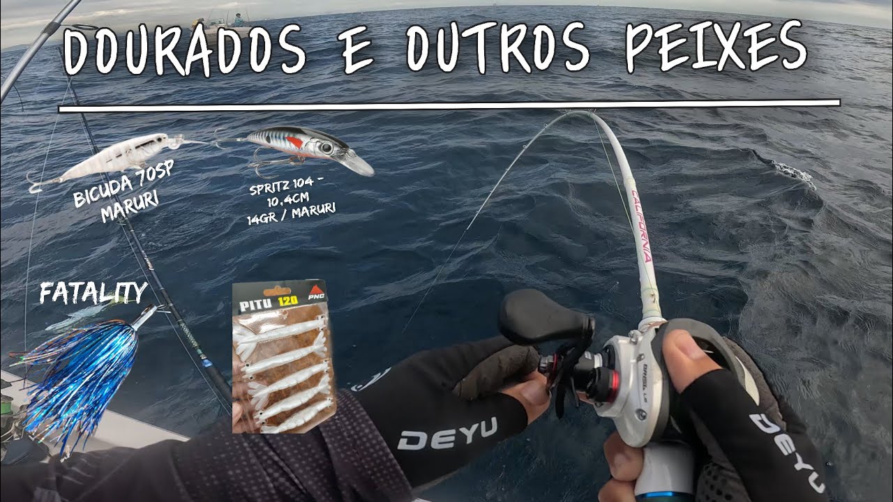 PESCARIA EM ALTO MAR -DOURADOS, SOROROCA E ATÉ ATUM BONITO CACHORRO. 
