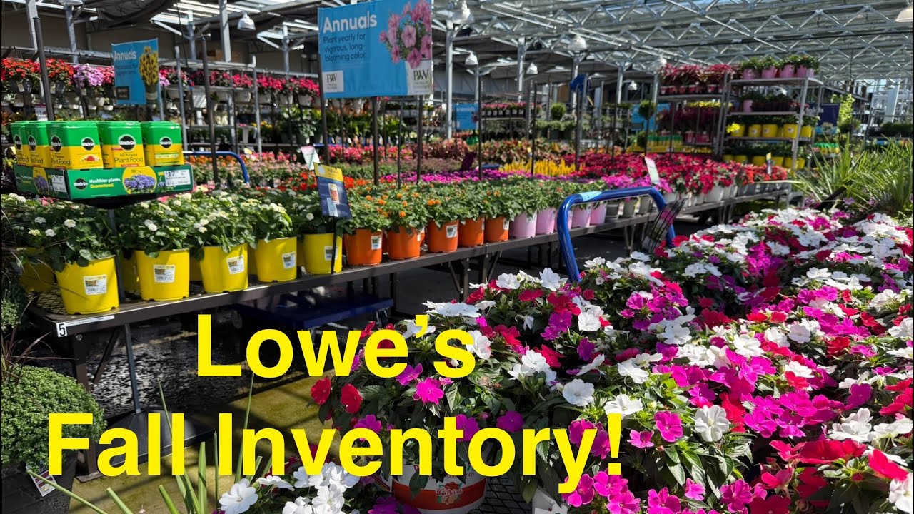Lowe’s fall plant inventory September 2025!