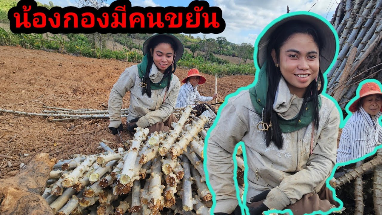 หน้าสาวน้องใจดีสาวโสดขยันตัดลำมันเพื่อเตรียมไว้ปูก