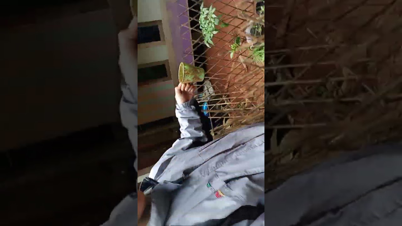 INILAH KE GIATAN KU KALAU LAGI ADA DI RUMAH
