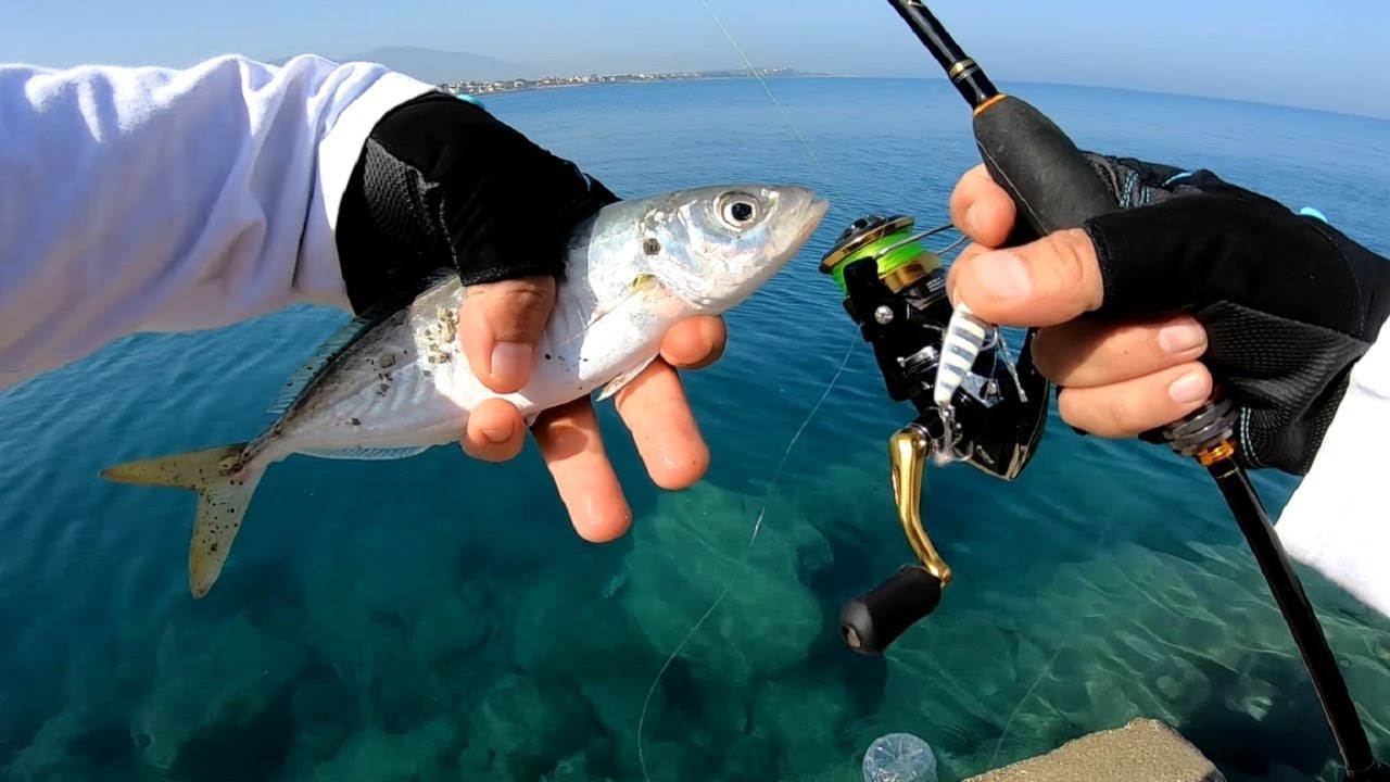 Ultra Light Takım ile İstavrit - Trakonya - Melanur Avları / Light Rock Fishing