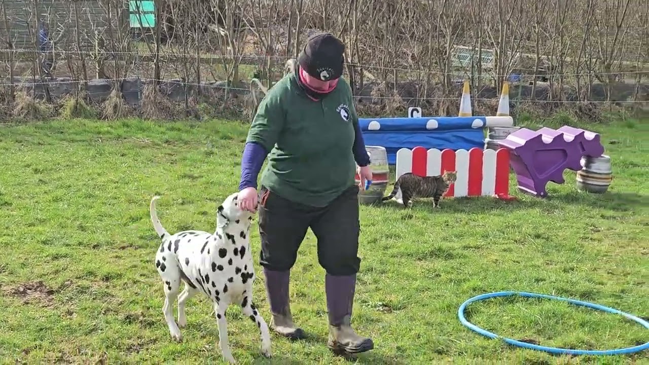 Kipper any other animal March/April 2026