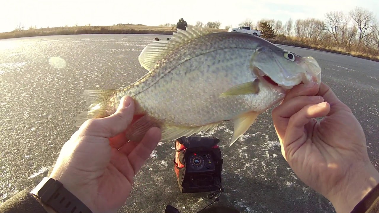 USING SPOONS FOR GIANT FARM POND CRAPPIE AND BLUEGILL!!! (Southern Iowa)