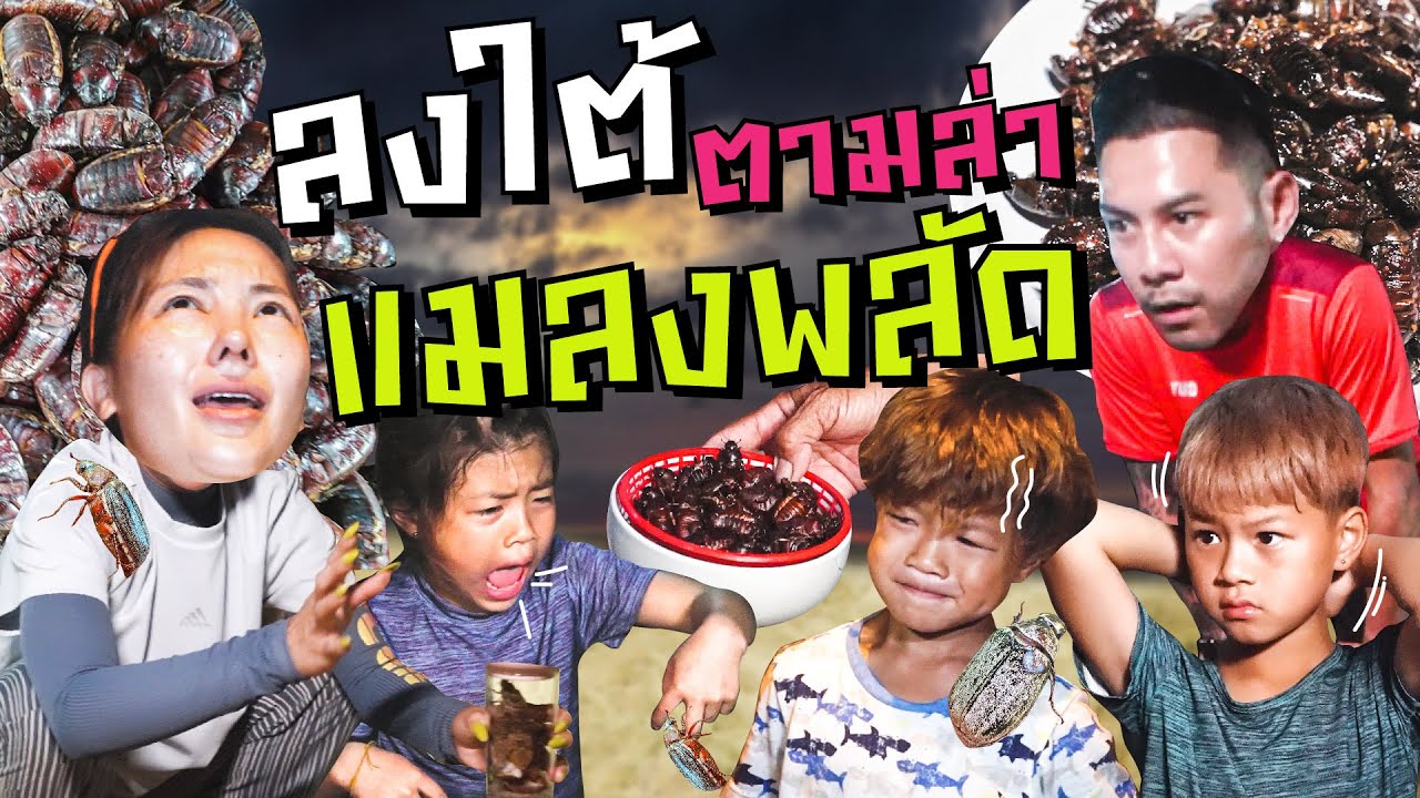 หา“แมลงพลัด” แบบกระหน่ำ ของกินประจำฤดูของชาวใต้ !!  | กุมารTravel EP.283