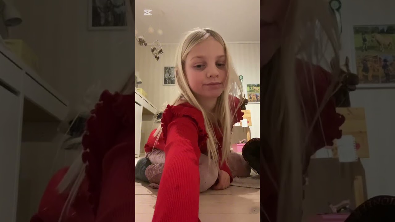 Vad var eran bästa julklapp kommentera 💓god jul 🎄 