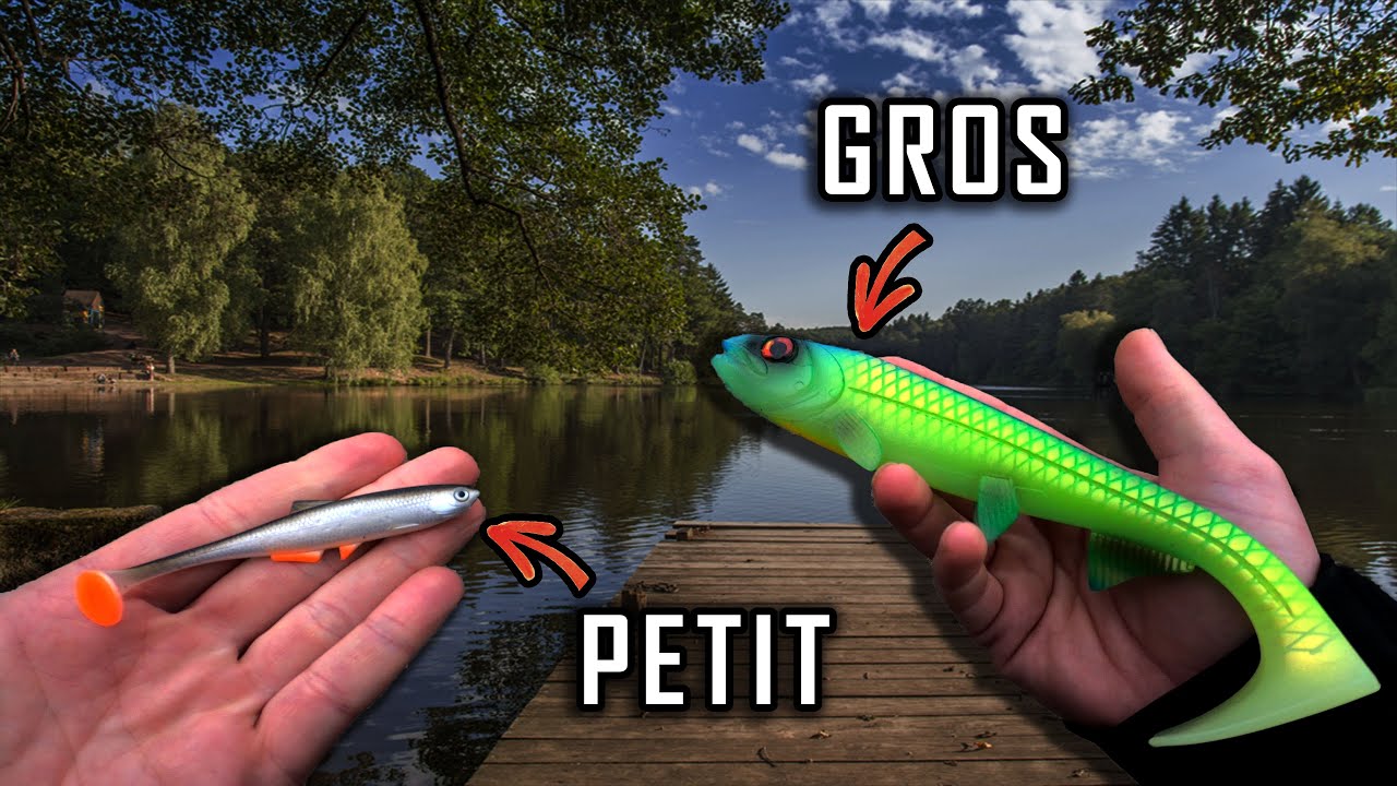 GROS leurre ou PETIT leurre en ZONE PRIVE