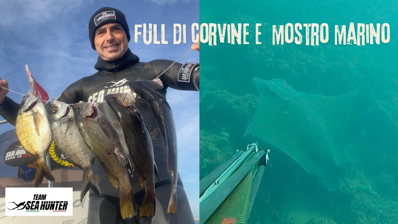 🎣 Full di Corvine in Pesca in Apnea – Incontro con un’Aquila di Mare! | Sub Avventura nel Blu