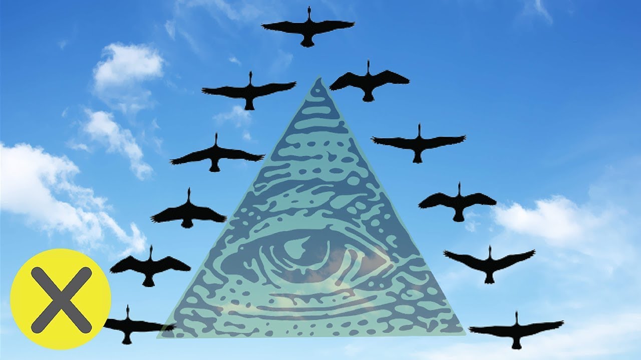¿Por qué los pájaros vuelan en forma de “V”? (PyR)