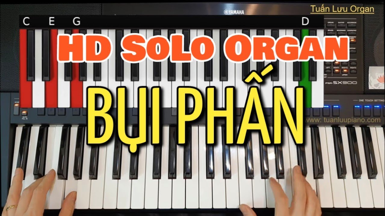 #7 | Bụi Phấn - Hướng Dẫn SoLo Organ | Cách Học Dễ Nhất Cho Người Lớn Tuổi | Tuấn Lưu Organ