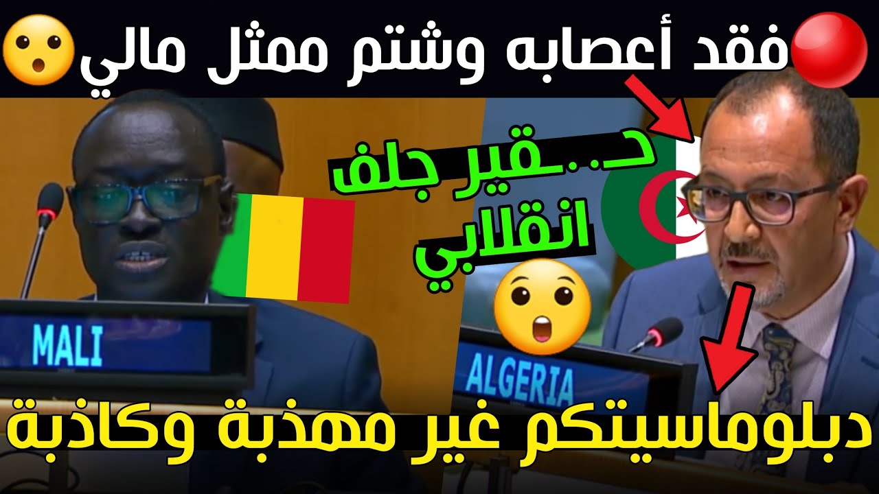 فضيحة دبلوماسية: ممثل الجزائر يفقد أعصابه ويشتم ممثل مالي 😱
