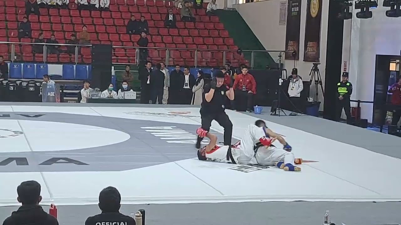 LƯU ĐỨC MẠNH | Hiệp 2 | Giải vô địch MMA Châu Á | Vòng loại