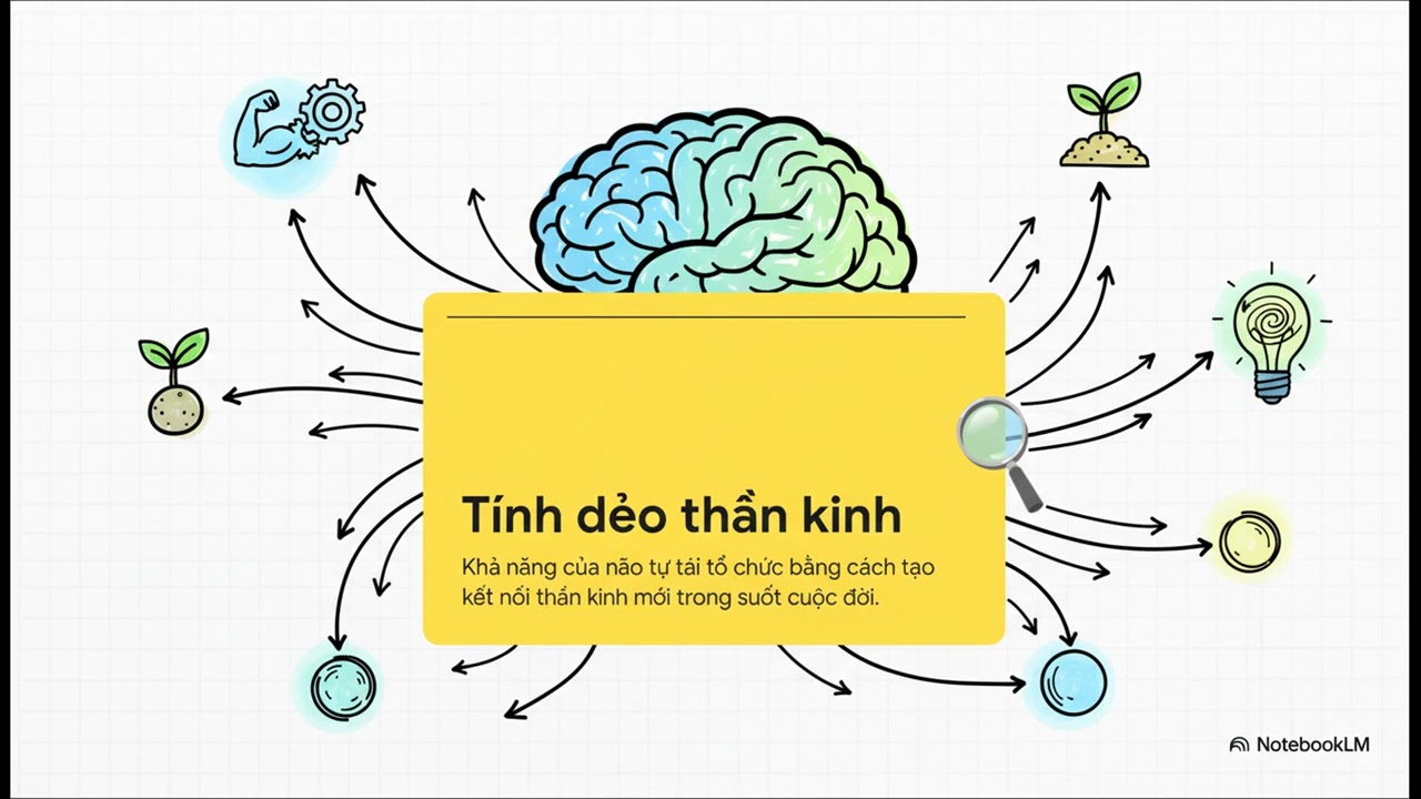 6V.Khoa Học Duy Trì Động Lực