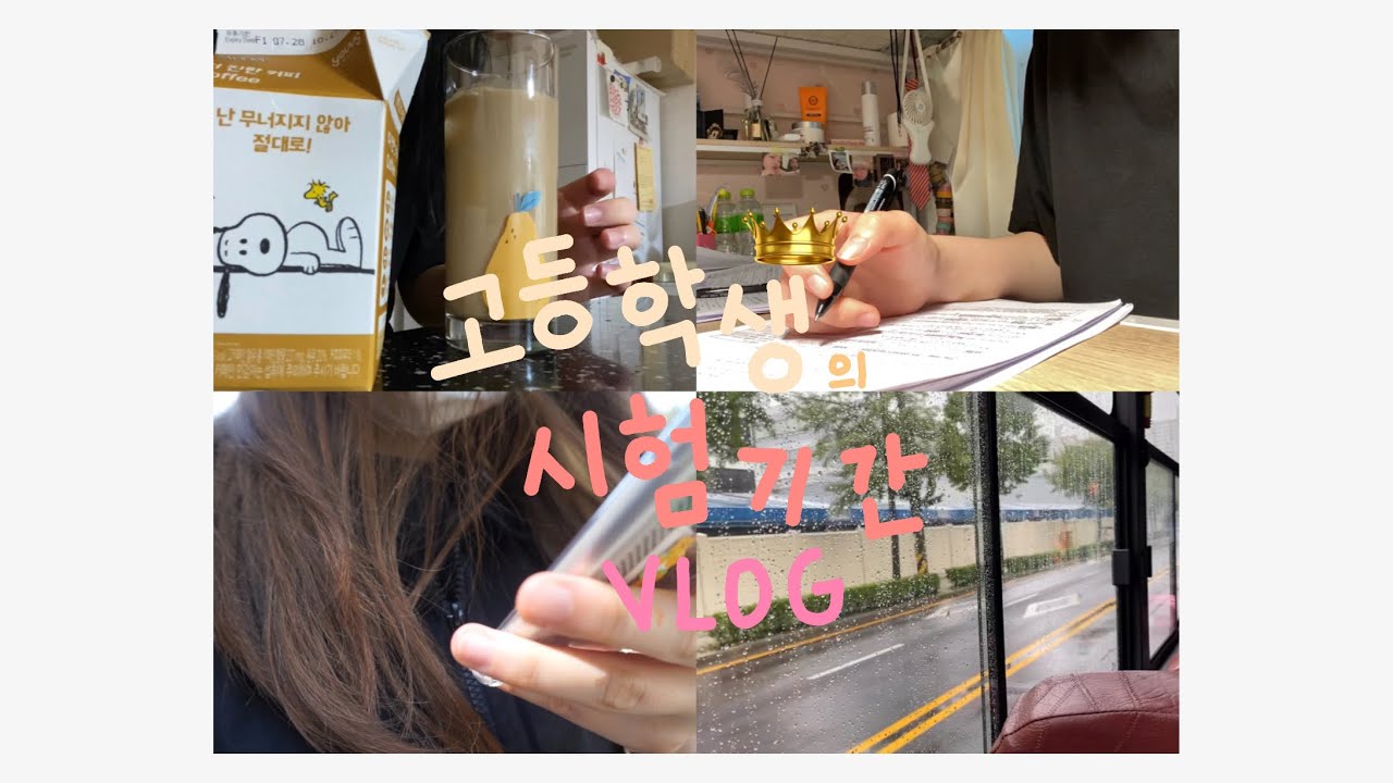 기말고사 공부 브이로그 vlog , 타임랩스 모음집  ✨‼️ 고등학생의 시험기간은 어떨까? / the study of high school students [ Neuliy 늘리 ]