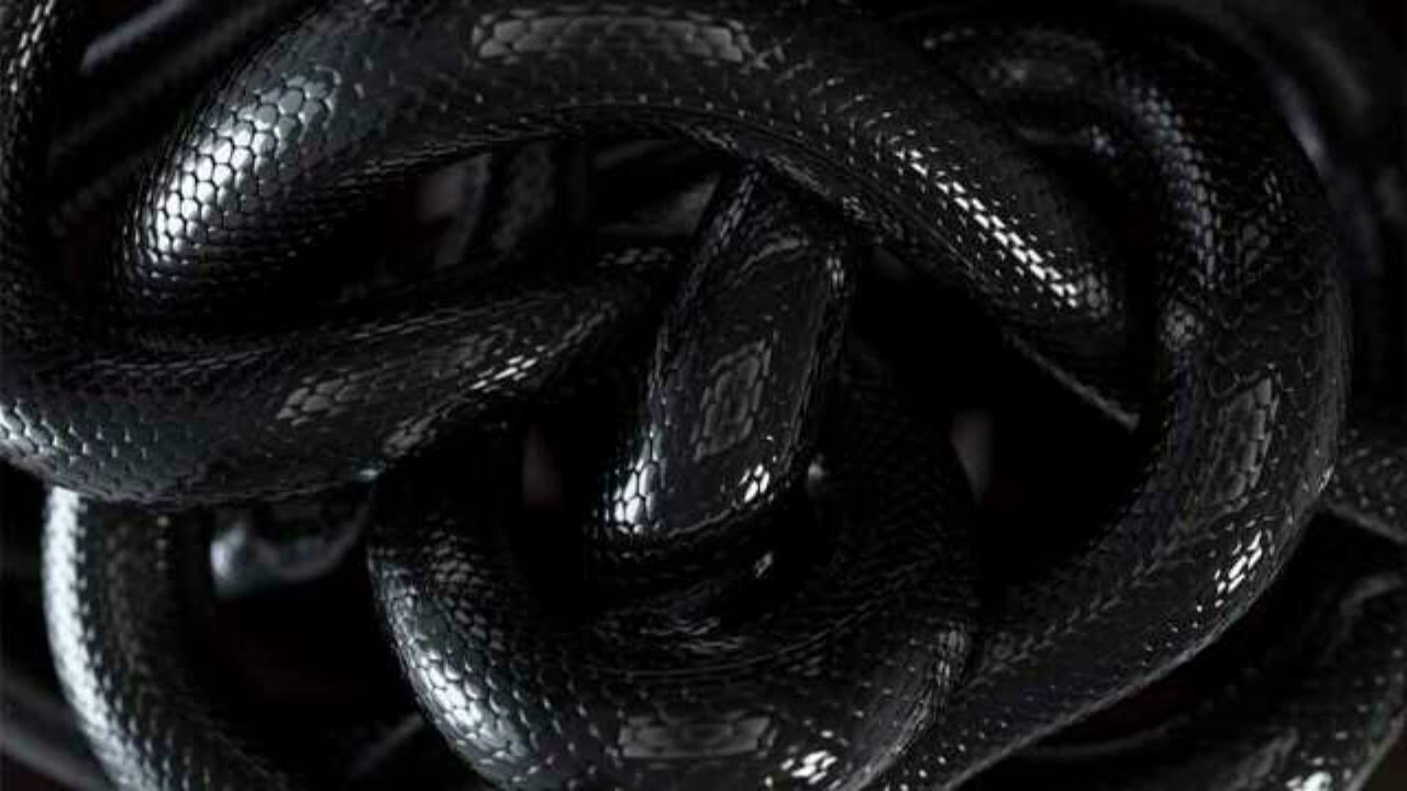 ATEYABA x HIMS TYPE BEAT 