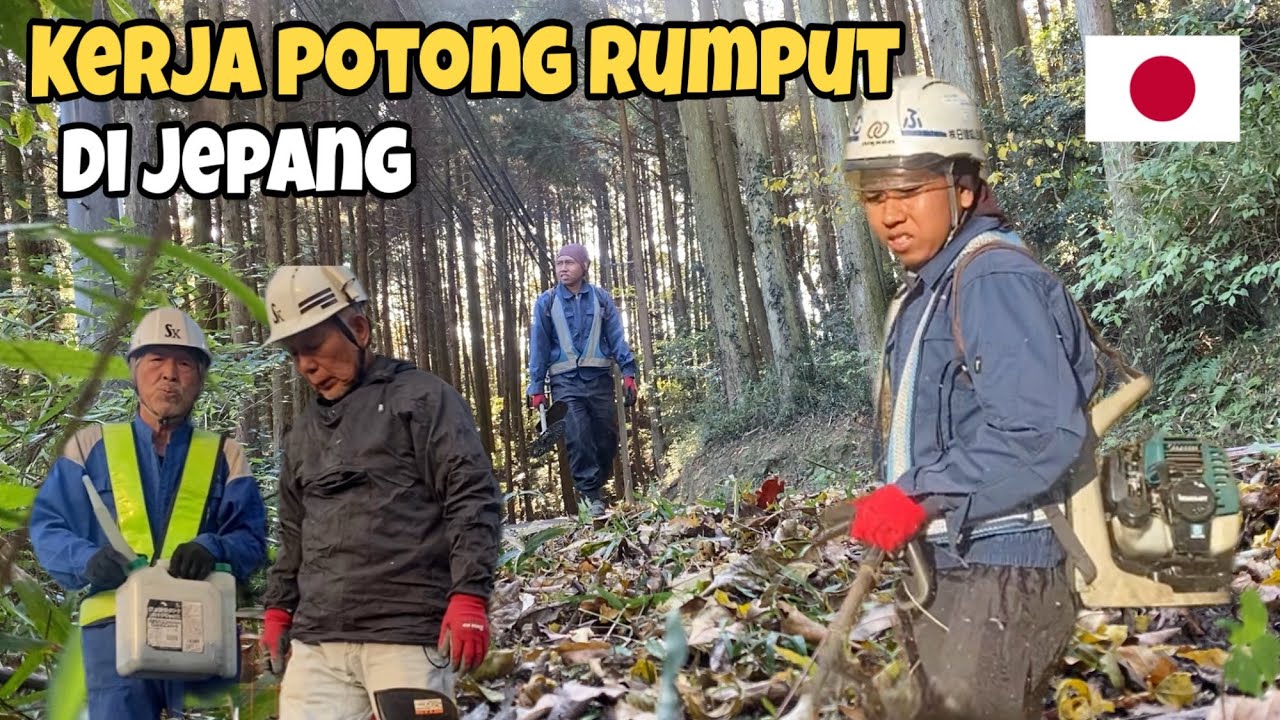 Beginilah pekerjaanku potong rumput dengan kakek-kakek jepang 
