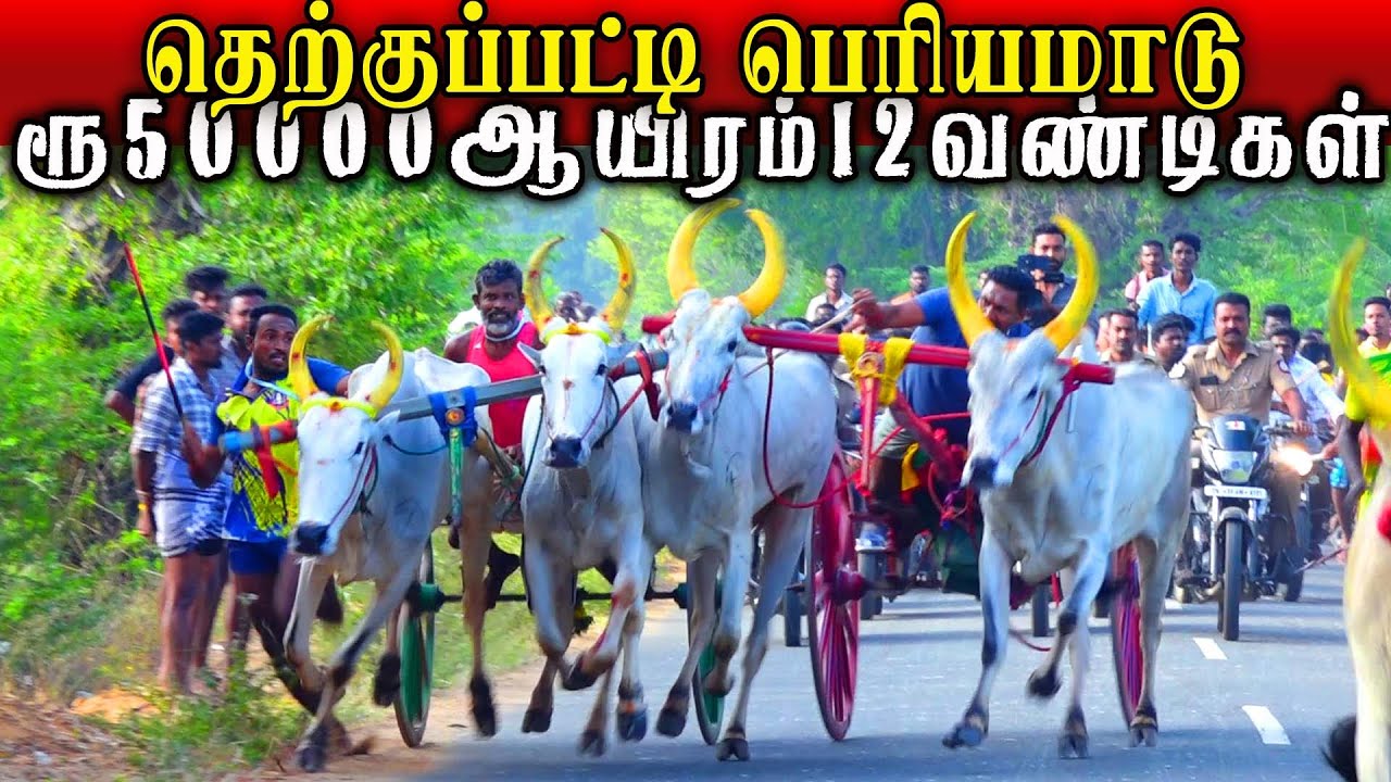 தெற்குப்பட்டி பெரியமாடு பந்தயம்