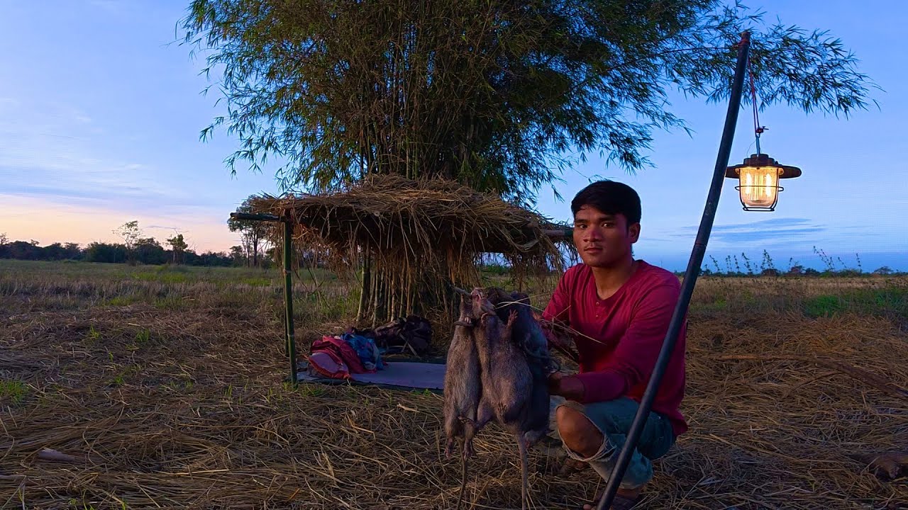 Challenge my self | No shelter and finding food in the rice fields by trapping rats.
