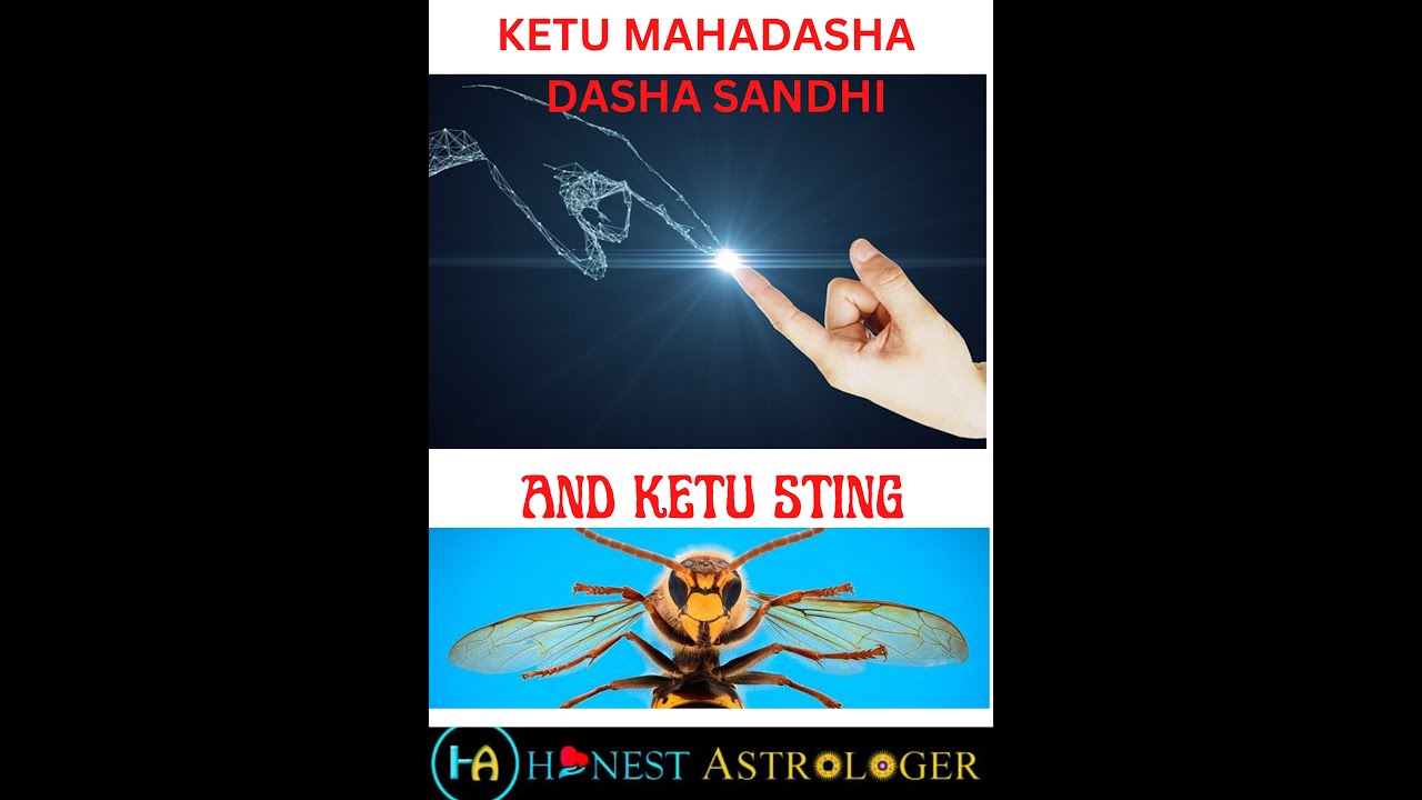 HINDI: KETU MAHADASHA TO VENUS MAHADASHA - DASHA SANDHI AND KETU STING