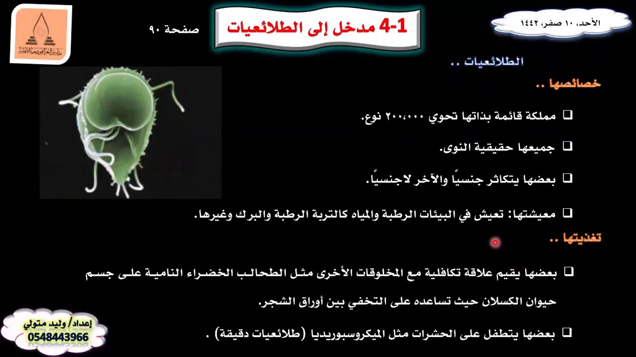 مدخل إلى الطلائعيات