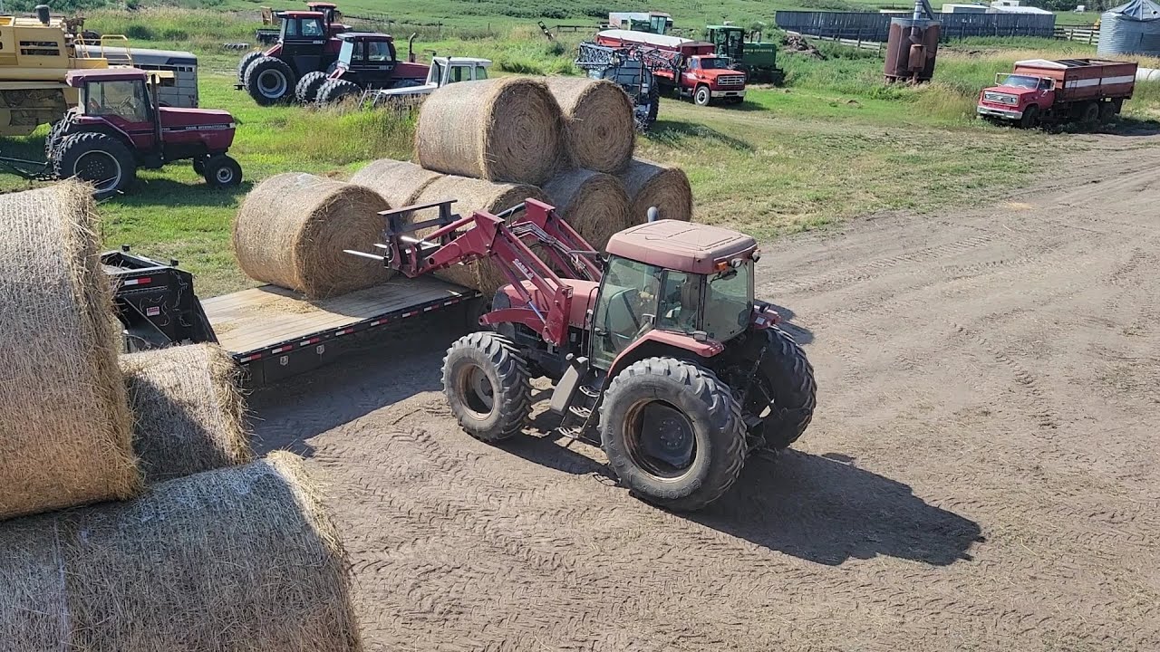All The Bales Are Gone!!!!!