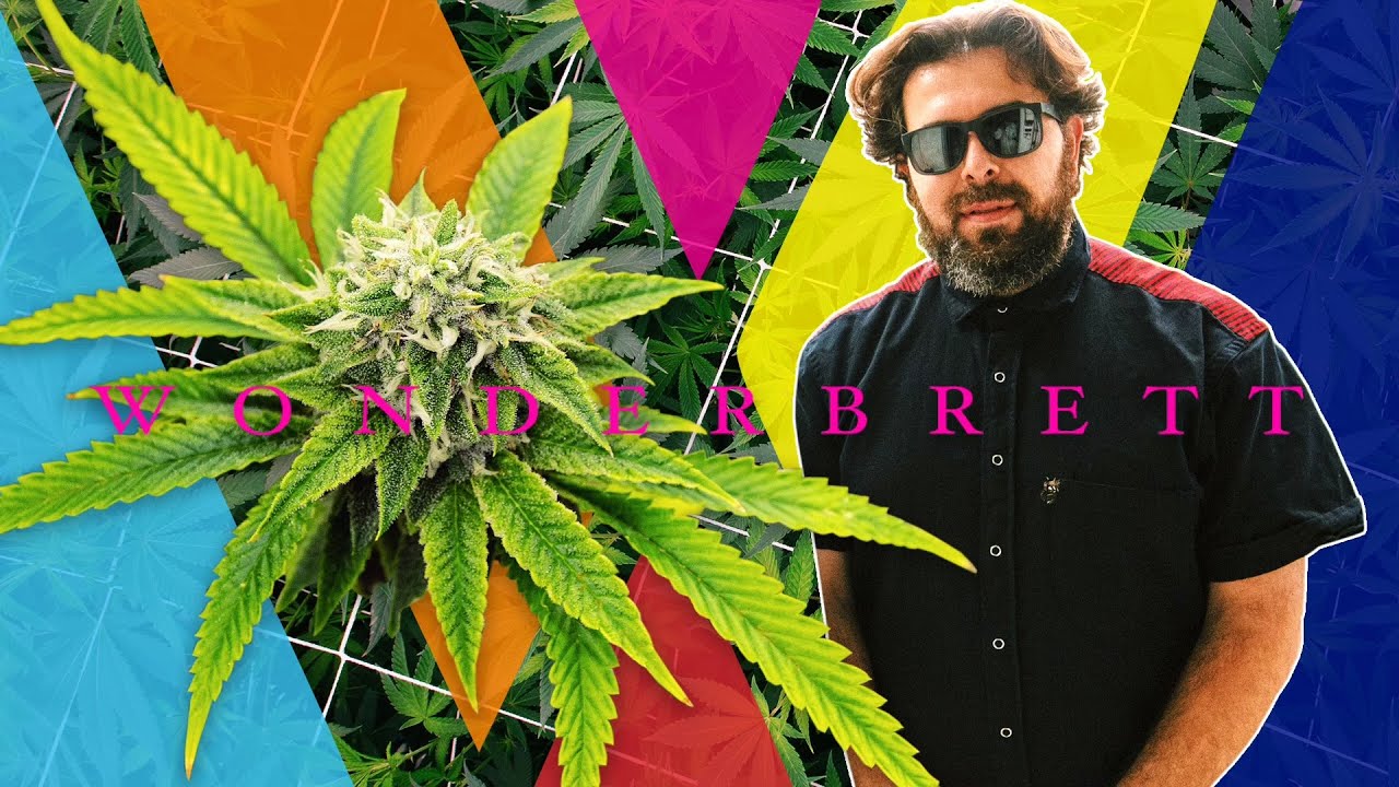 How WONDERBRETT Got His Name