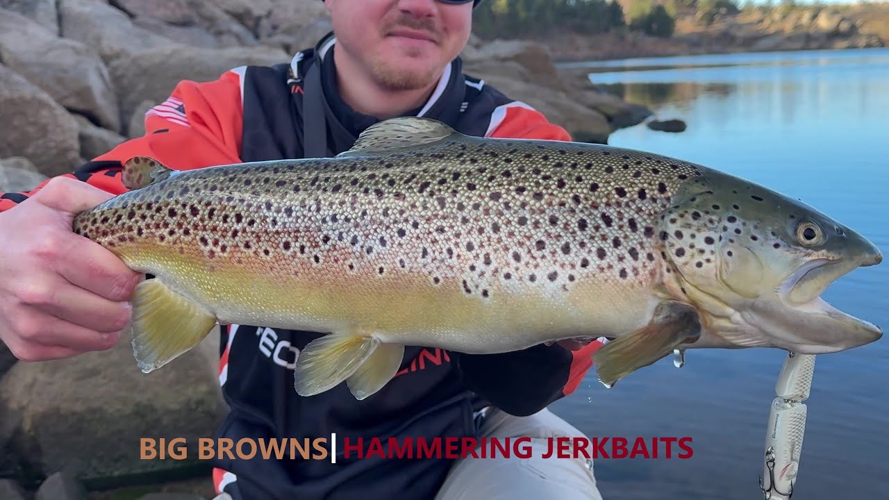HOW TO CATCHING HUGE Brown Trout on Jerkbaits EVERY CAST