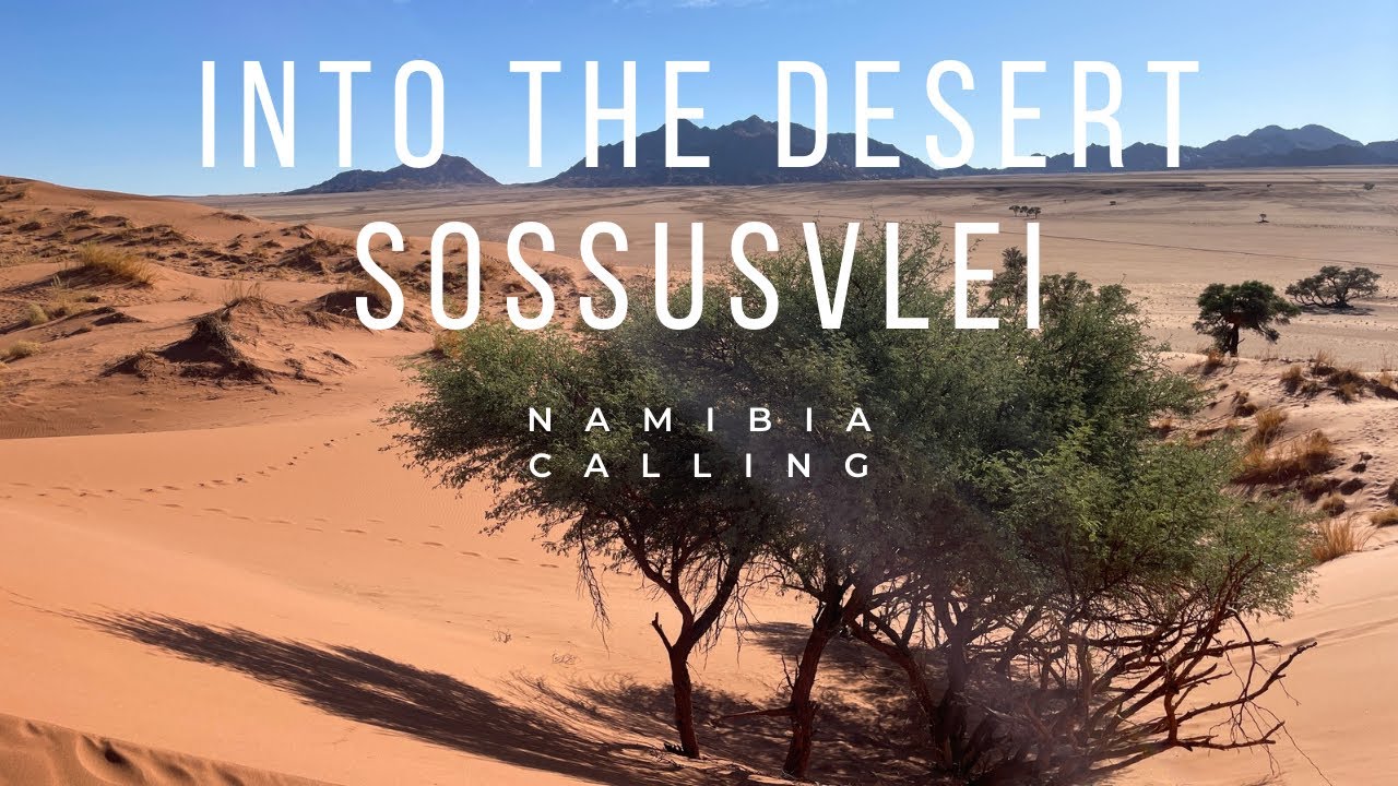 Deadvlei Sossusvlei und Co - so sch&ouml;n kann die W&uuml;ste sein