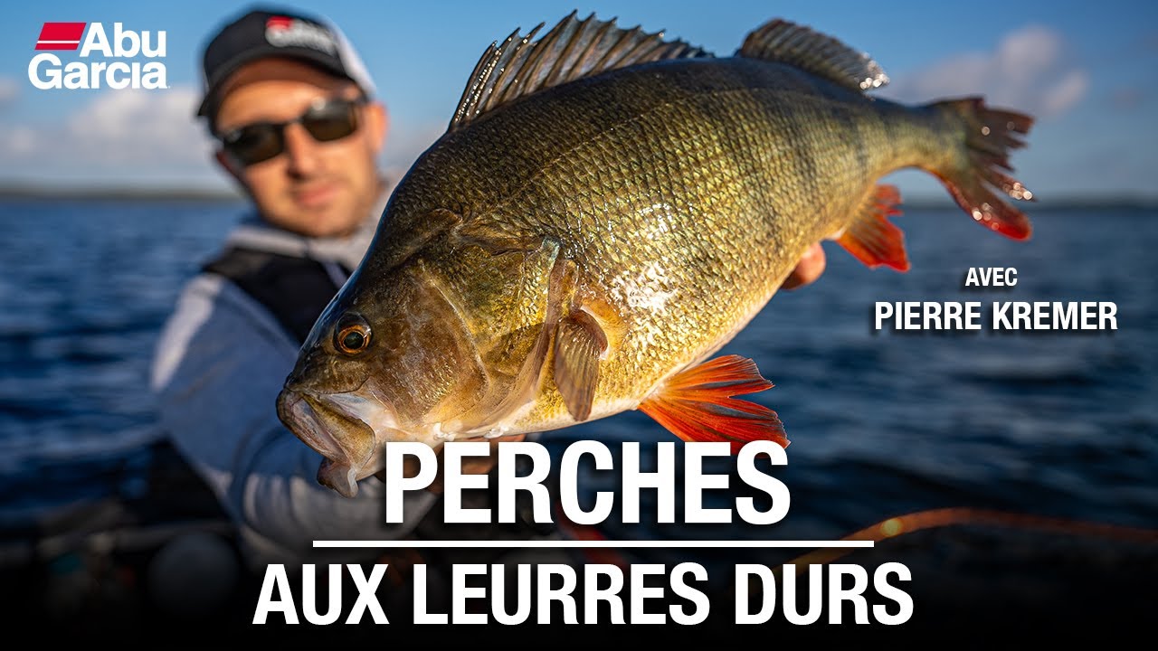 FILM– Enchaînement de perches au leurre dur (Jerkbait, Minnow, Topwater…) : astuces et matériel