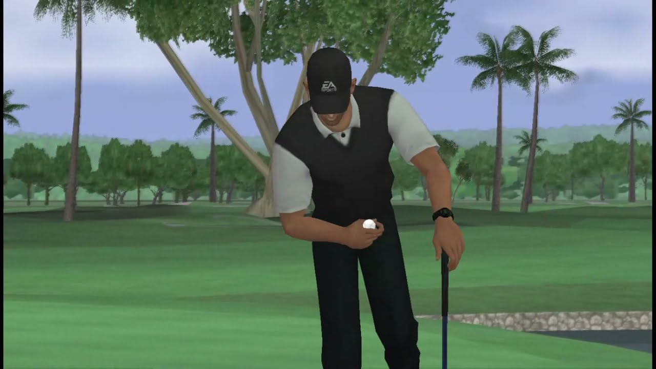 Tiger Woods PGA TOUR® 09  psp gameplay