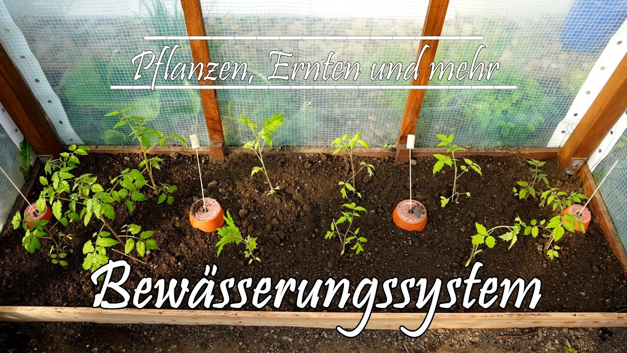 Schlauchlose Bewässerung für Garten- und Balkon /  Urlaubsbewässerung für kleines Geld