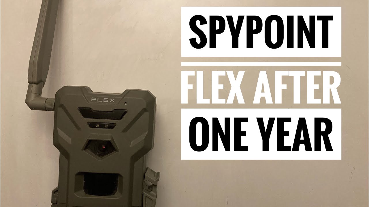 Обзор камеры SpyPoint Flex спустя год!