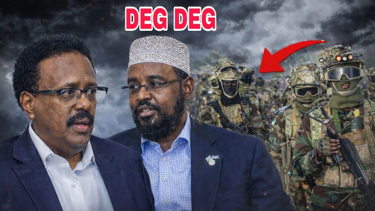 DEG DEG: Farmaajo oo Helay Ciidamada Birjeex & Dagaal Laga Cabsi Qabo Arin layaab ah oo laga helay..