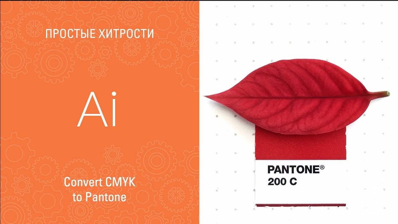 Convert CMYK  to Pantone в Adobe Illustrator CC 2018 || Уроки Виталия Менчуковского