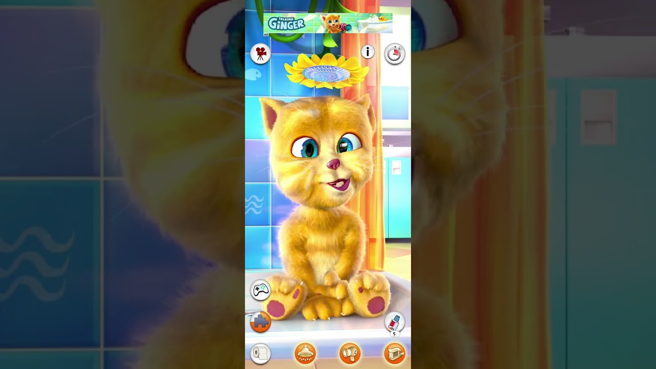 Talking Tom Cat Funny Gameplay