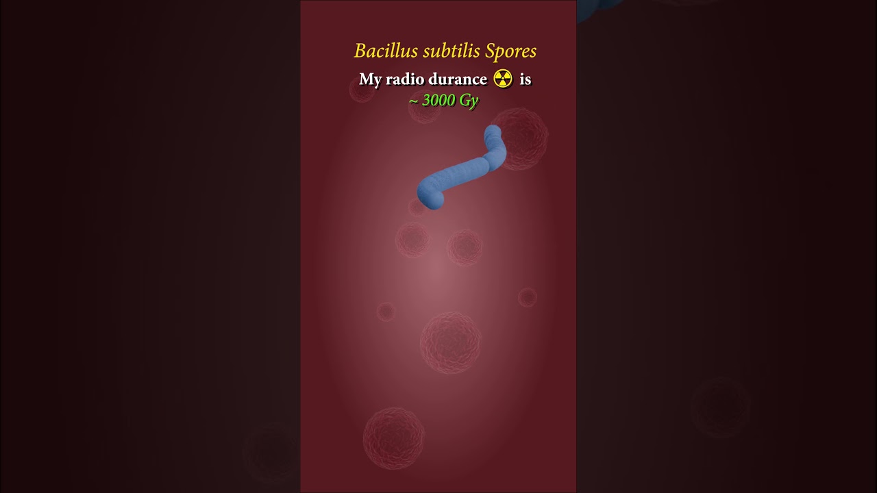 #microbiology #extremophiles #RadiationResistance #microbes #bacteria #radiation #biology #science