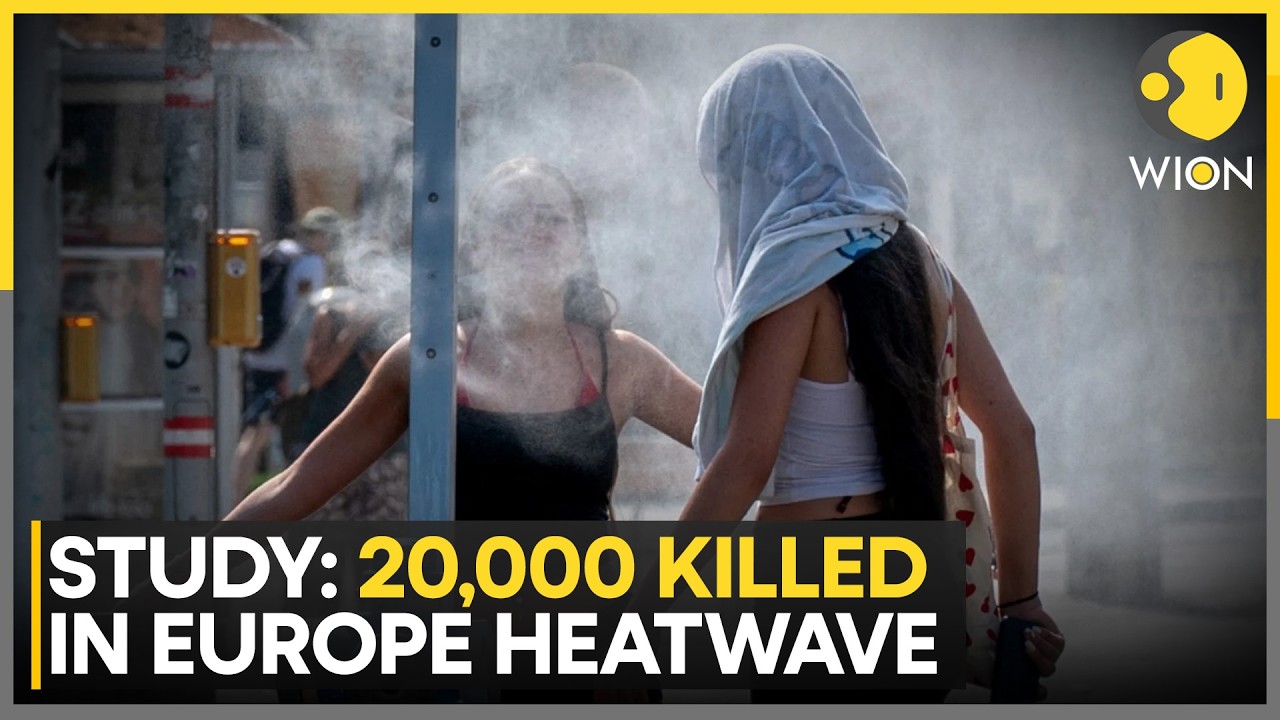 Europe Heatwave: France & Belgium See Massive Spike Heatwave Deaths | WION