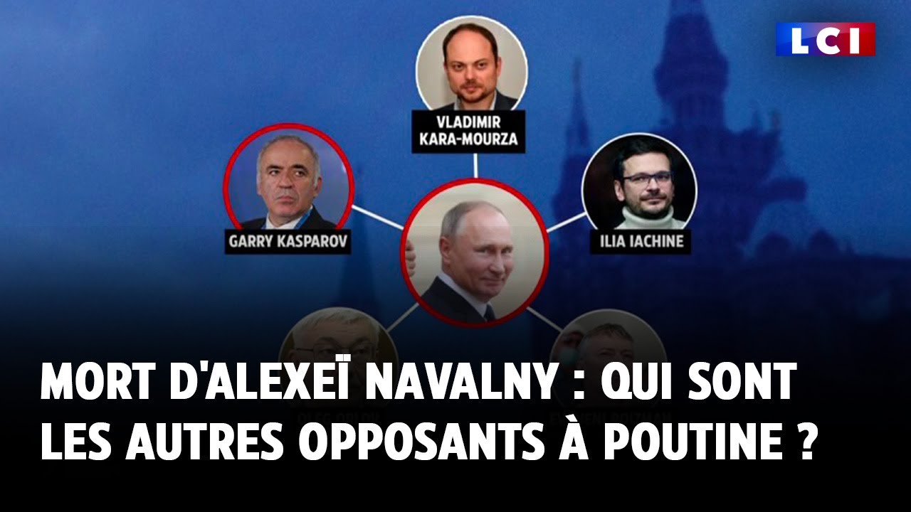 Mort d'Alexeï Navalny : qui sont les autres opposants à Poutine ?