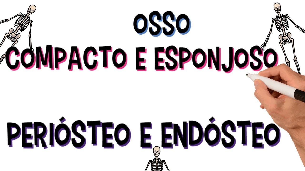 ✅ TECIDO &Oacute;SSEO COMPACTO E ESPONJOSO | PERI&Oacute;STEO E END&Oacute;STEO | DI&Aacute;FISE E EP&Iacute;FISE