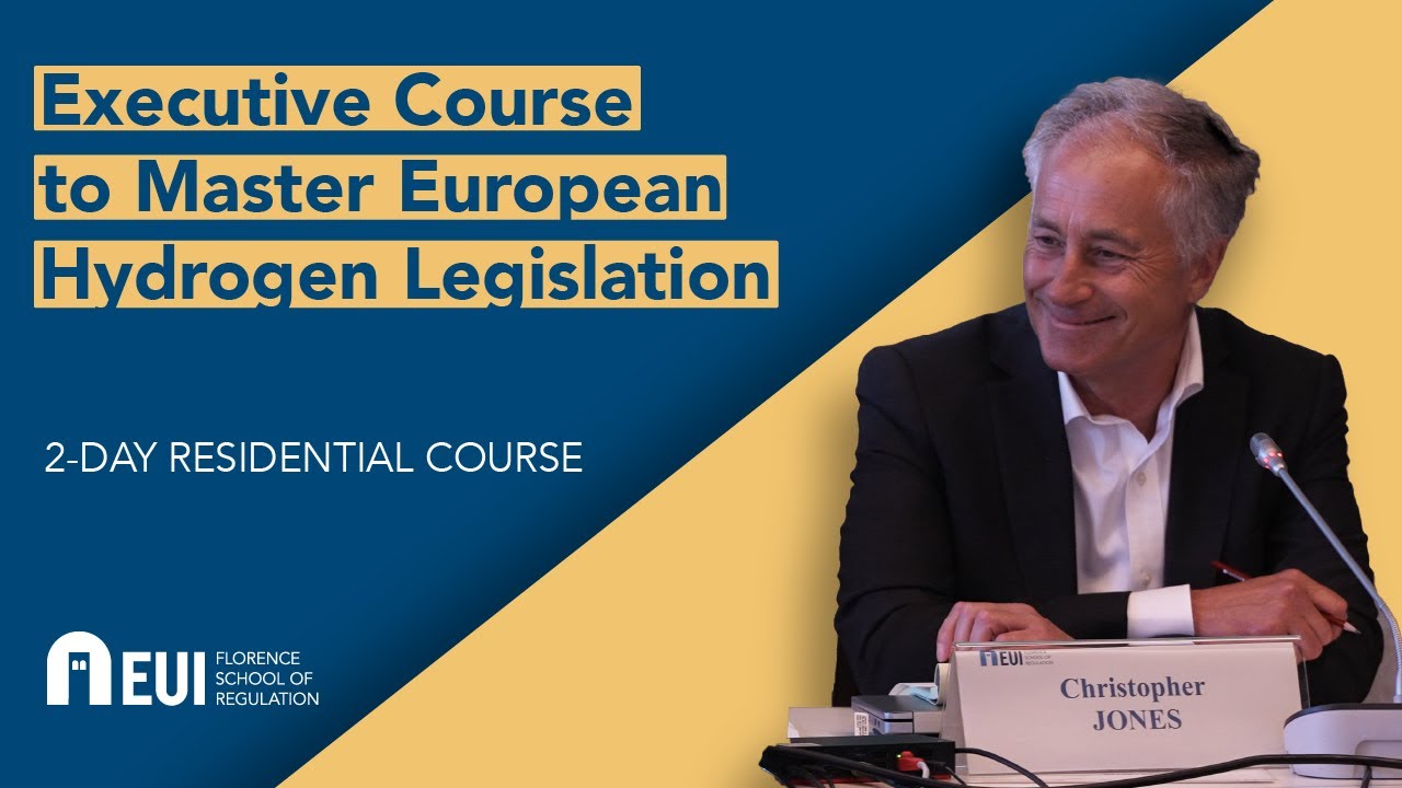 Executive Course to Master European Hydrogen Legislation