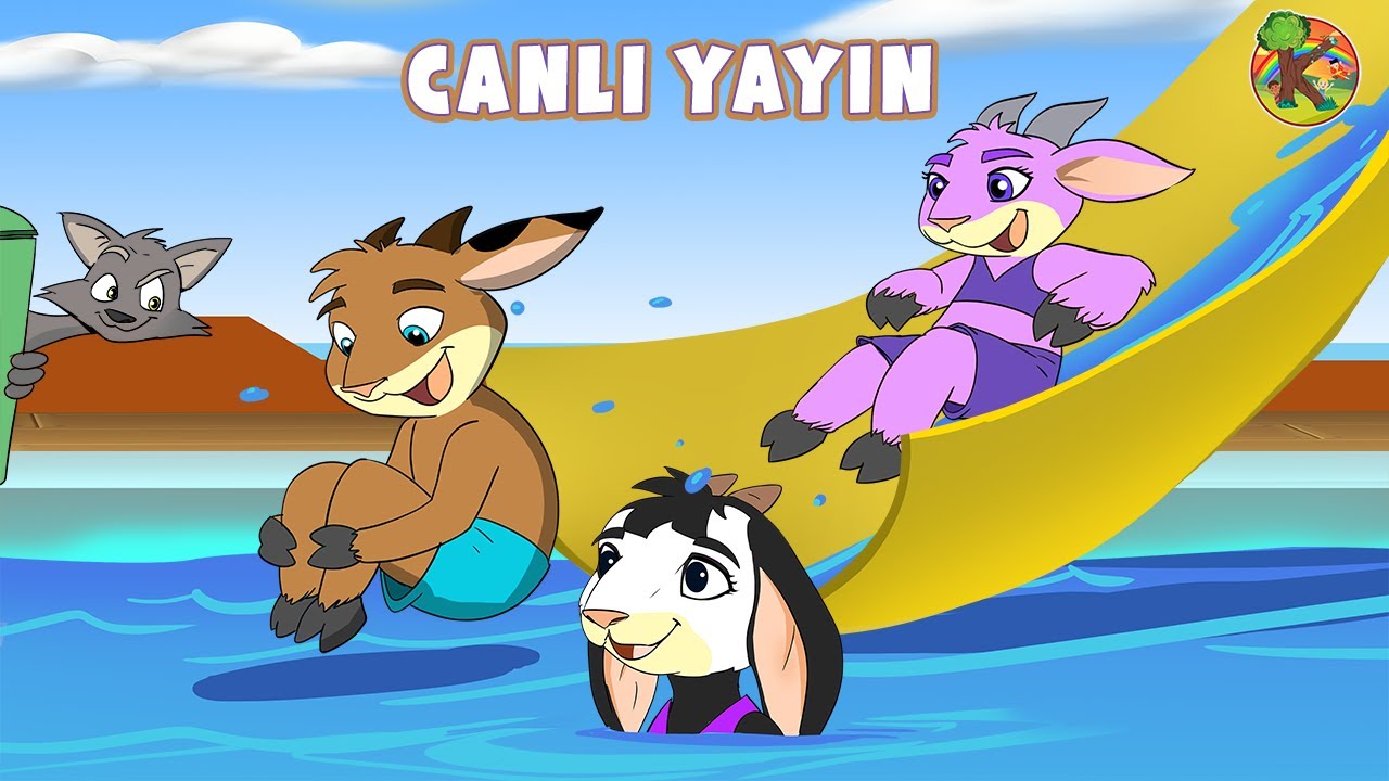 Türkçe - Çizgi Film & Çocuk Masalları - CANLI YAYIN | KONDOSAN
