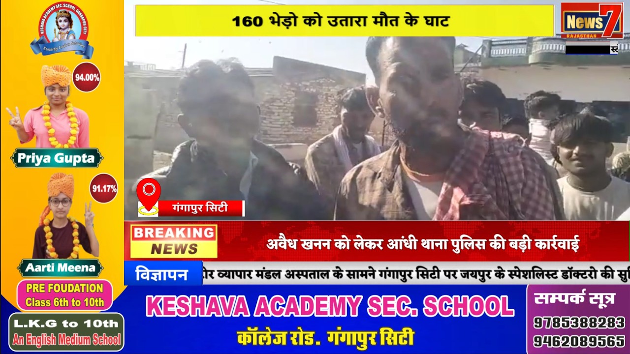 #live सहजपुरा में अज्ञात जानवर का हमला, 160 भेड़ो को उतारा मौत के घाट #sheep #news7rajasthan #news7