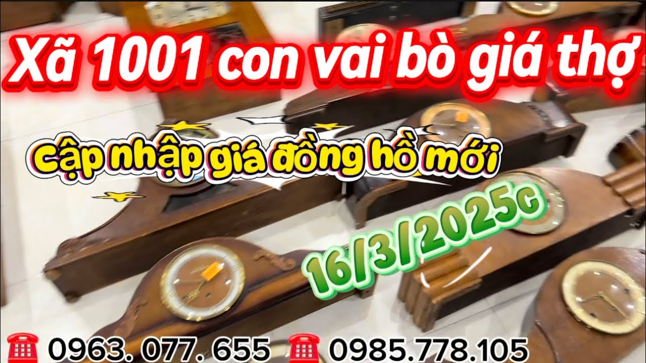  Cập bến 1001 con bò vàng giá mới dành cho anh em thợ