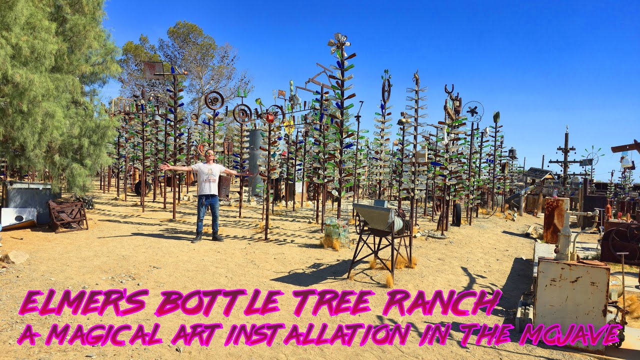 Elmer's Bottle Tree Ranch &mdash; волшебная арт-инсталляция в пустыне Мохаве