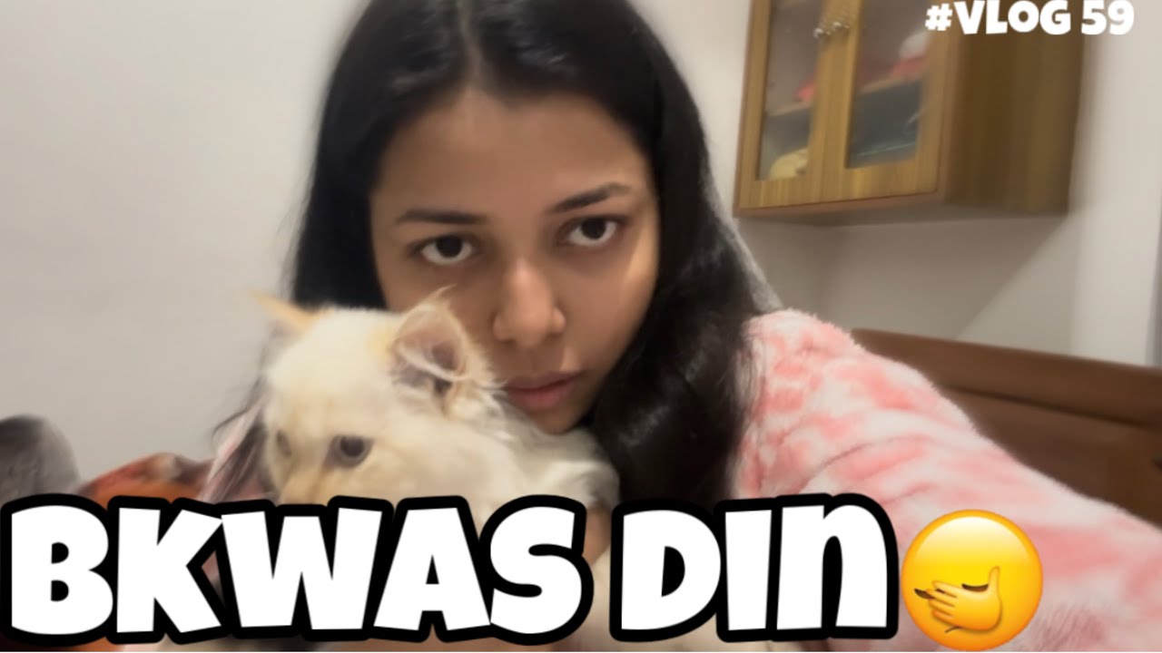 Fir se nhi ban rhe vlogs🤦🏻‍♀️| Daily Vlogs | Vlog 59| #vlogs 